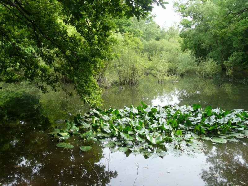 Fêtes des adhérents 2013 033